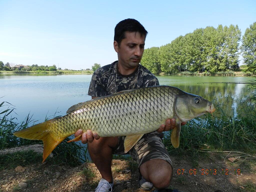 7-8  septembrie20013 - dscn1694.JPG